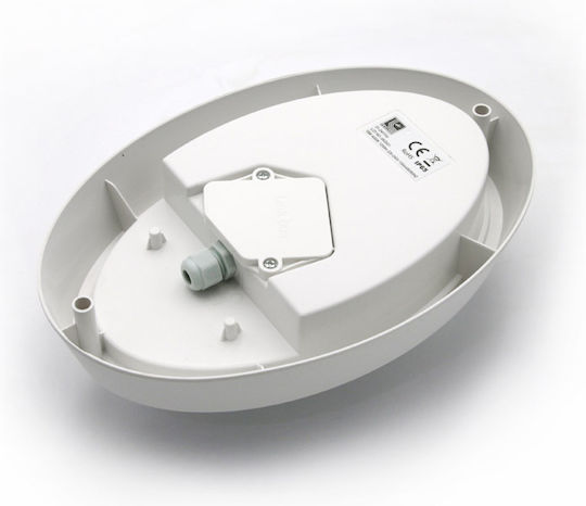 Adeleq Επιτοίχια Εξωτερική Πλαφονιέρα LED IP65 15W με Φυσικό Λευκό Φως 24x16.3εκ.