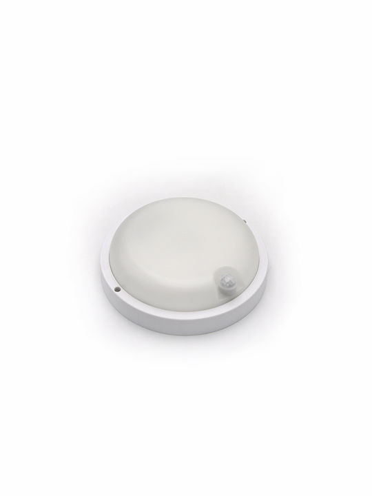 Adeleq Wall-Mounted Outdoor Ceiling Light LED IP54 18W with Natural White Light