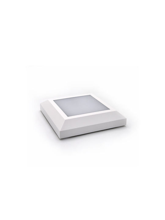 Adeleq Wall-Mounted Outdoor Ceiling Light LED IP65 4W with Warm White Light