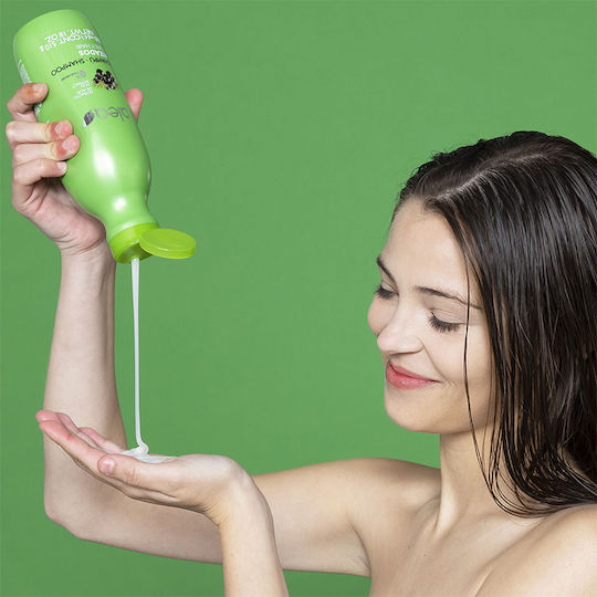 Alea Shampoos für Lockige Haare 500ml