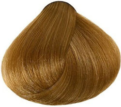 Faipa Perfecta Keratin Farbmittel Für Haare Ohn...