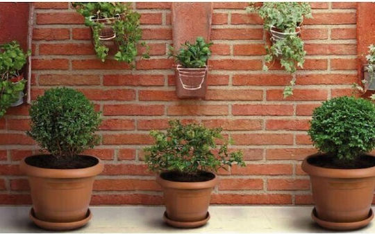 Viosarp Set 2 Pots Plastic