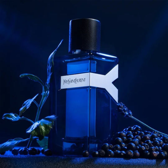 Ysl Y Intense Eau de Parfum 60ml
