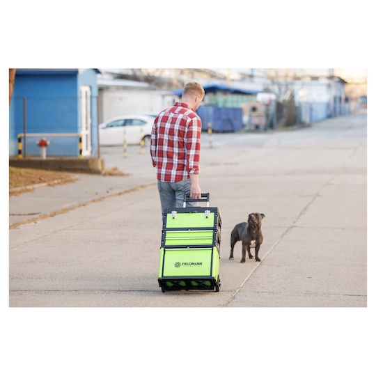 Fieldmann Wheeled Plastic Tool Carrier 3 Slot with Toolbox W52xD32xH72.1cm FDN 4150