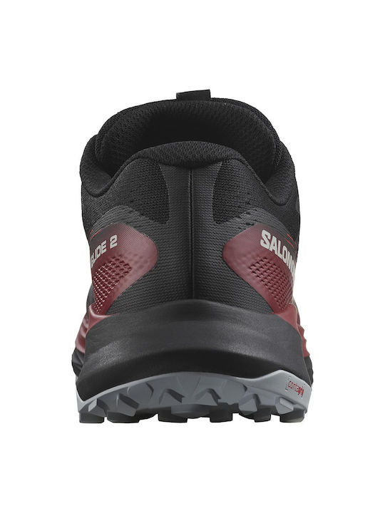 Salomon Salomon