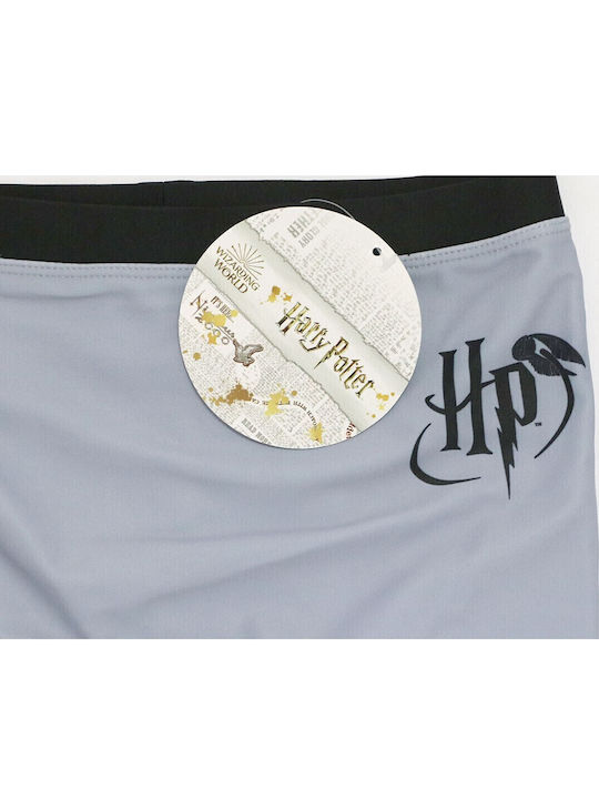 Warner Bros Kids Swimwear Swim Shorts Gray