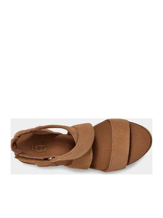 1139052 Women's Suede Ankle Strap Platforms Brown