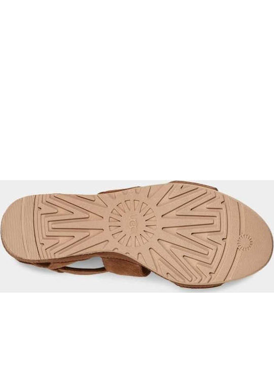 1139052 Women's Suede Ankle Strap Platforms Brown