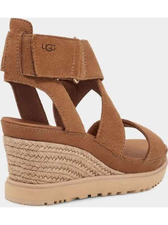 1139052 Women's Suede Ankle Strap Platforms Brown