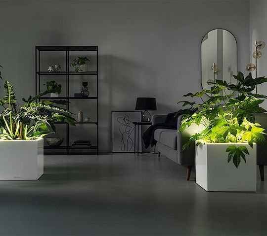 Lechuza Premium Canto Led Самополивен Саксия Пластмаса 40x40x76см.