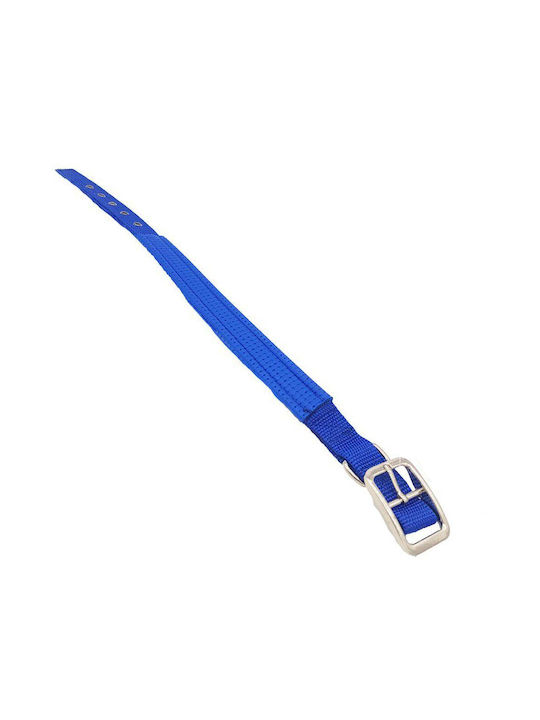 Dog Collar In Blue Colour 4mm x 68cm