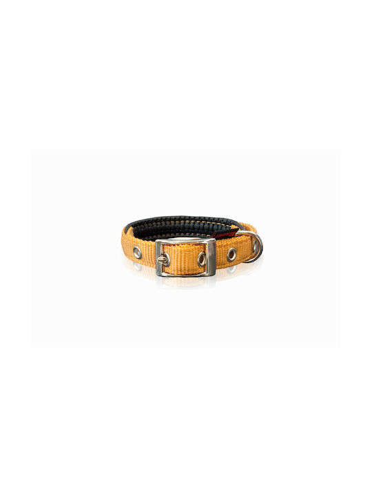 Pet Interest Neoprene Standard Dog Collar In Gold Colour XLarge 25mm x 55cm