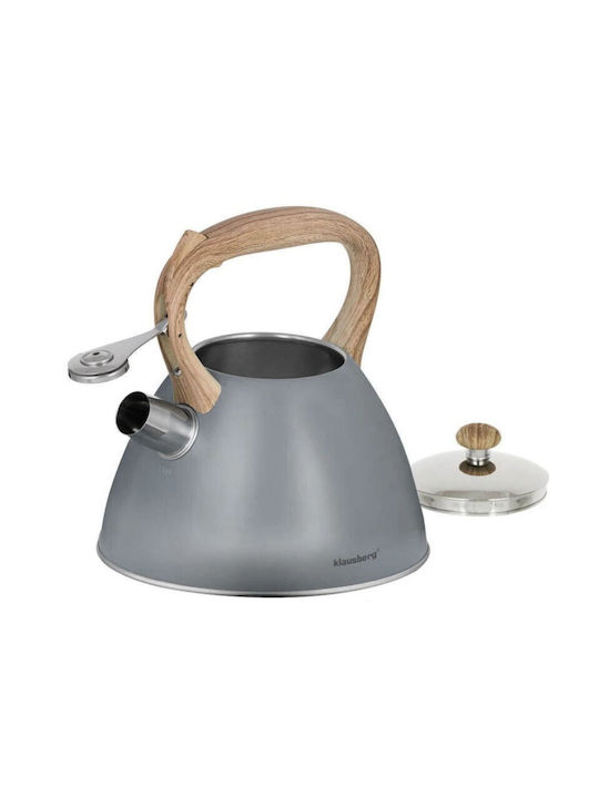 Kettle with Filter Stainless Steel in Gray Color 3000ml