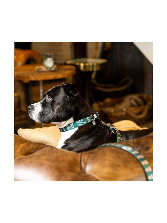 Max & Molly Coffee Break Hundehalsband in Grün Farbe XSklein 15mm x 28 - 45cm