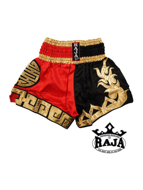 Raja Dragon 2 Ανδρικό Σορτσάκι Kick/Thai Boxing Πολύχρωμο