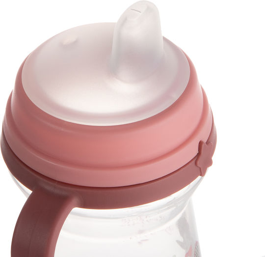 Canpol Babies 56/613 Educational Sippy Cup Plastic with Handles Pink for 6m+m+ 250ml
