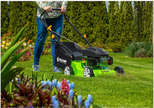 Fieldmann Lawn Mower Gasoline