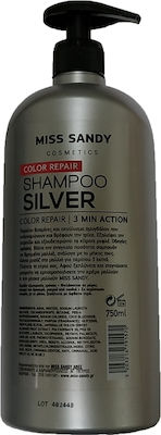 Miss Sandy Silver Shampoos Color Maintenance for Coloured Hair 750ml