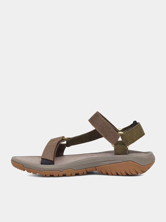 Teva