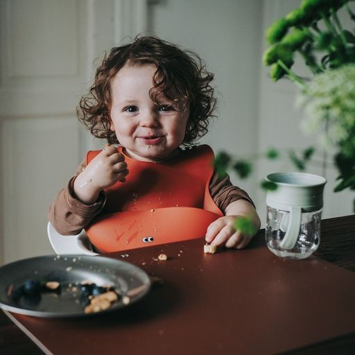 Noui Noui Waterproof Bib Silicone with Button & Pocket Dusty Rusty for 4 m+