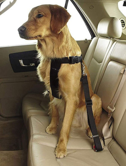 HAMA HAMA Sicherheitsgurt Für Hunde Auto 60cm