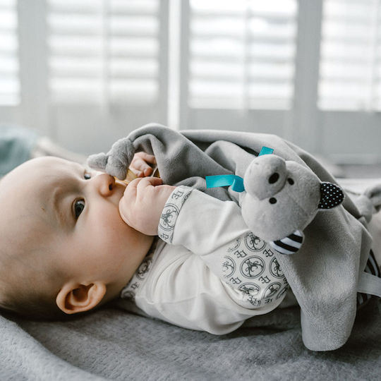 Whisbear Baby-Windeln Bear Comfort Grau