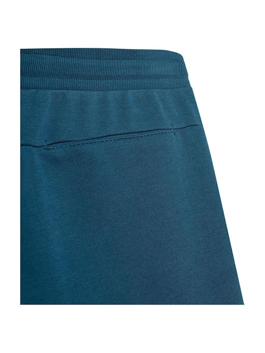 4F Sportliche Herrenshorts Blau