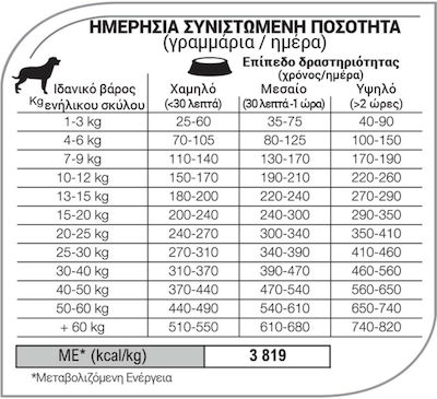 Equilibrio Skin & Digestion 12kg Trockenfutter für erwachsene Hunde mit Lamm