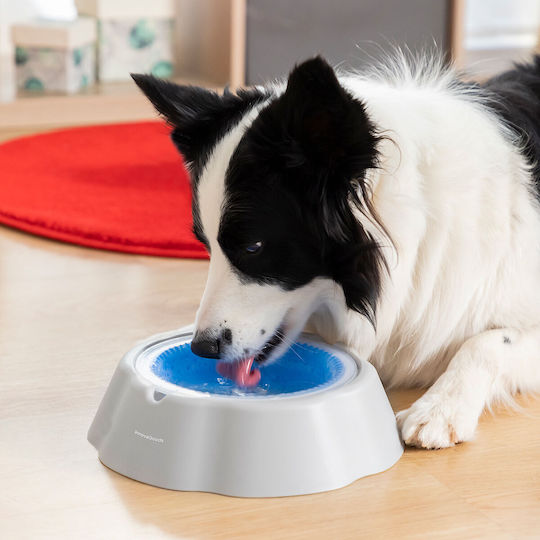 InnovaGoods Freshty Bowl made of Propylene Water for Dog & Cat with Base 450ml 24cm in White Color
