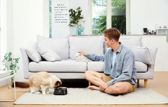 Pawbby Smart Pet Ανοξείδωτο Μπολ Φαγητού για Σκύλο & Γάτα σε Μαύρο Χρώμα