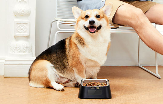 Pawbby Smart Pet Ανοξείδωτο Μπολ Φαγητού για Σκύλο & Γάτα σε Μαύρο Χρώμα