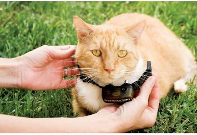 Pet Safe Receiver Elektrisches Halsband zur Hundeerziehung Hundeausbildung & Schockhalsbänder