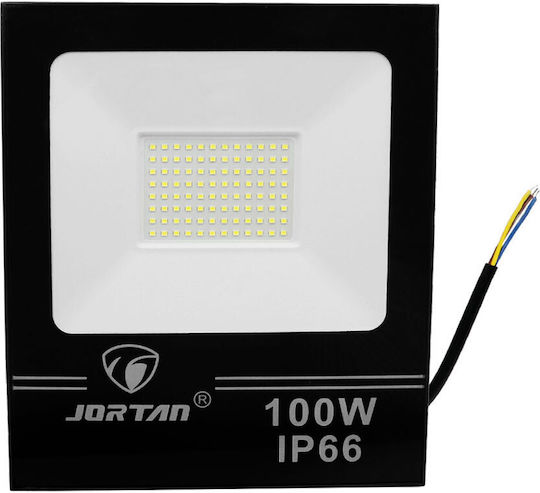 LED Floodlight 100W Cold White 6500K