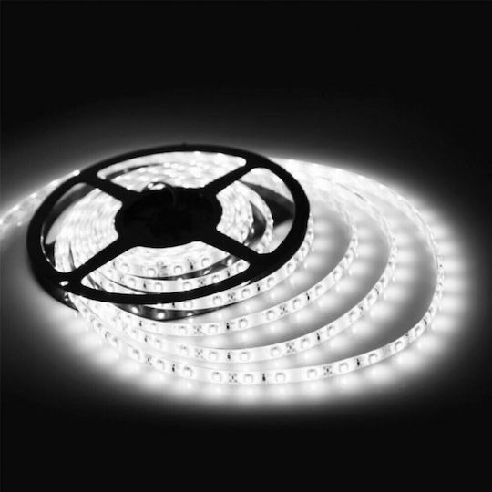 Aca Wasserdicht LED-Streifen 12V Natürliches Weiß Licht 3m Typ SMD2835 mit Netzteil