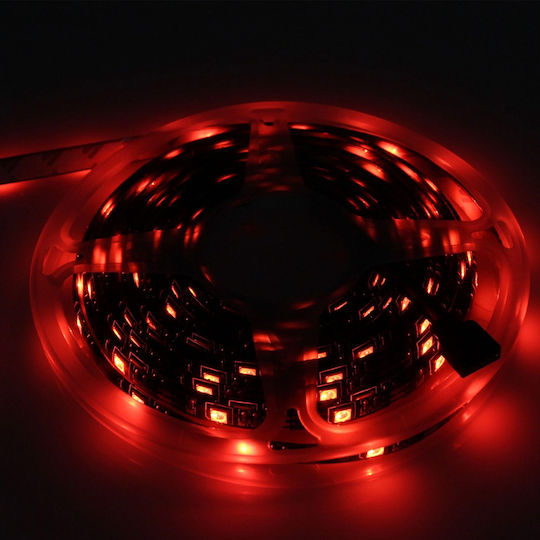 Factory Wasserdicht LED-Streifen RZ-0015 12V RGB Licht 5m Typ SMD2835 mit Netzteil & Fernbedienung