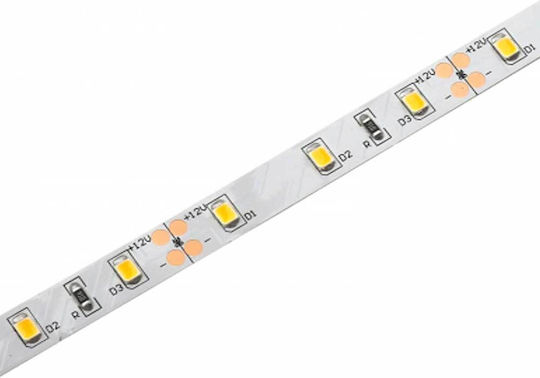 Avide Waterproof LED Strip ABLS12V2835-60WW65-4.8W 12V Warm White Light 5m Type SMD2835
