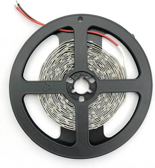 Avide Waterproof LED Strip ABLS12V2835-60WW65-4.8W 12V Warm White Light 5m Type SMD2835