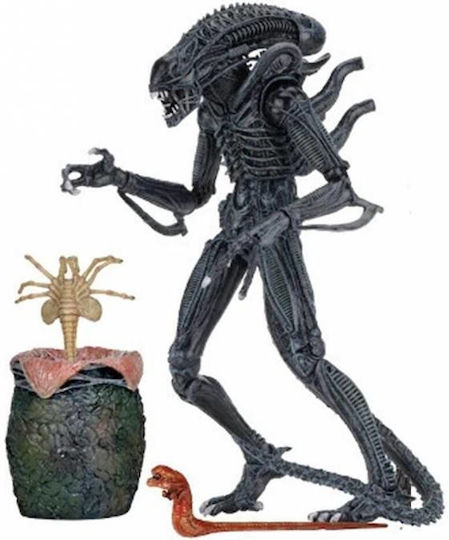 Neca Alien Blue Alien Warrior & Egg Face Hugger 1986 Action Figure Height 23cm Scale 1:10