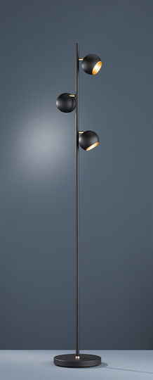 Trio Lighting Dakota Floor Lamp H155cm. Black