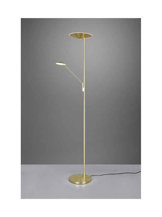 Trio Lighting Brantford LED Floor Lamp H180xW30cm. Gold