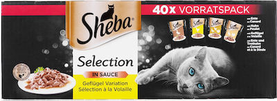 Sheba Selection in Sauce Wet Food for Adult Cats In Pouch with Chicken Poultry Flavors 40pcs 85gr