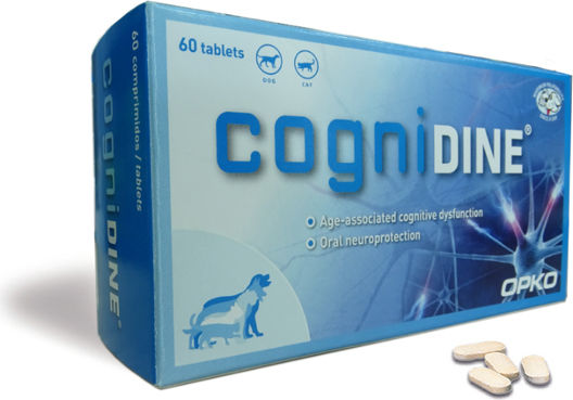 Pharmadiet Cognidine Tablets for Dogs and Cats Νευροπροστατευτικό 60 Δισκία 60 tabs