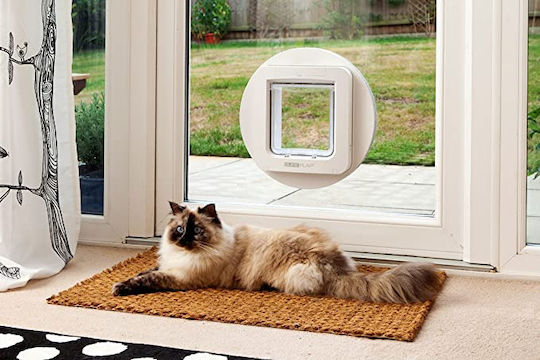 Trixie Sureflap 4Way Cat Flap XL Door Dog & Cat made of Plastic in White Color 26.2 x 17 x 28.1cm