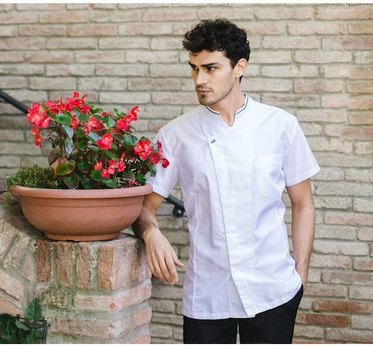 Giblor's Coat Chef White with Short Sleeve Apollo