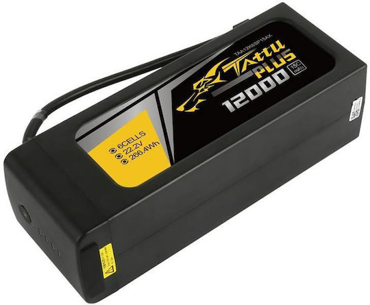 Tattu Plus Tattu Li-Po Batterie 22.2V 12000mAh 15C 6S für Drohne 2 Stück