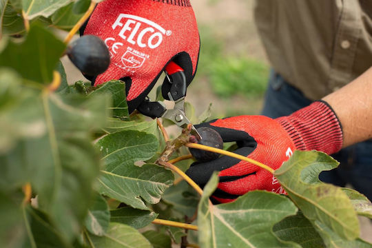 Felco 320 Foarfecă de cules Lungime 15.4cm