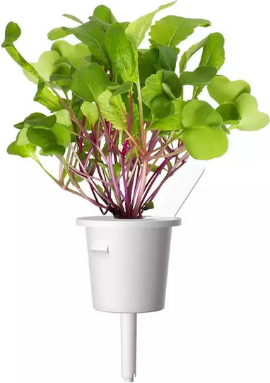 Click and Grow Семена Репички 3бр