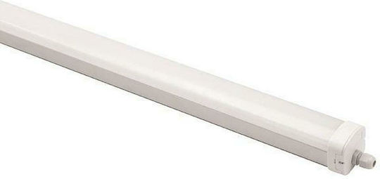Eurolamp Lighting Batten Outdoor with Integrated LED 60W 150cm