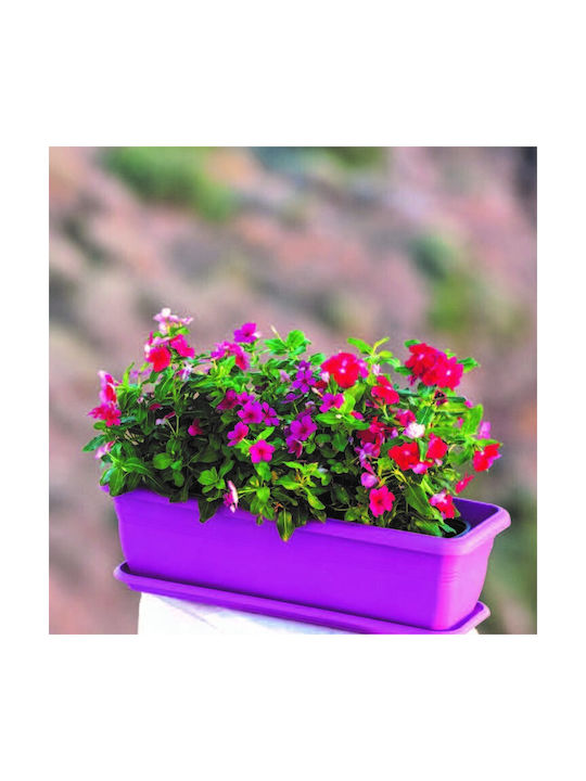 Viomes Planter Box Plastic Purple Dark 45x21x18cm.
