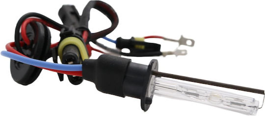 Lampen Auto H1 Xenon 8000K Kaltes Weiß 35W 1Stück